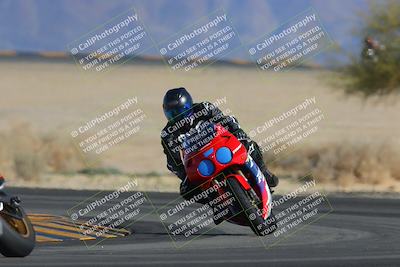 media/Feb-04-2023-SoCal Trackdays (Sat) [[8a776bf2c3]]/Turn 4 (Tree of Life 2pm)/